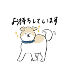 犬のジェットくん（個別スタンプ：5）