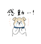 犬のジェットくん（個別スタンプ：7）