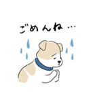 犬のジェットくん（個別スタンプ：8）