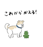 犬のジェットくん（個別スタンプ：9）