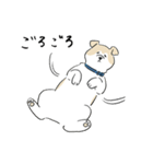 犬のジェットくん（個別スタンプ：10）
