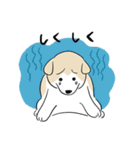 犬のジェットくん（個別スタンプ：11）