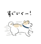 犬のジェットくん（個別スタンプ：12）