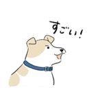 犬のジェットくん（個別スタンプ：13）