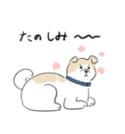 犬のジェットくん（個別スタンプ：14）