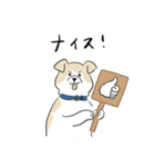 犬のジェットくん（個別スタンプ：16）