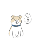 犬のジェットくん（個別スタンプ：17）