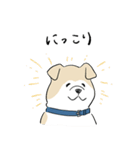 犬のジェットくん（個別スタンプ：18）