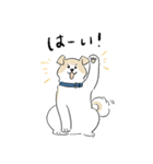 犬のジェットくん（個別スタンプ：19）