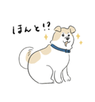 犬のジェットくん（個別スタンプ：23）