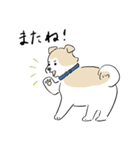 犬のジェットくん（個別スタンプ：24）