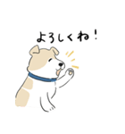 犬のジェットくん（個別スタンプ：26）
