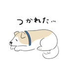 犬のジェットくん（個別スタンプ：30）