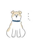 犬のジェットくん（個別スタンプ：31）