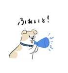犬のジェットくん（個別スタンプ：34）