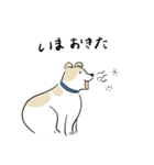 犬のジェットくん（個別スタンプ：37）