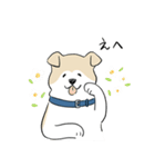 犬のジェットくん（個別スタンプ：38）