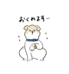 犬のジェットくん（個別スタンプ：39）