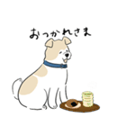 犬のジェットくん（個別スタンプ：40）