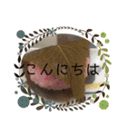 スイーツ( ・∇・)どれが好き？（個別スタンプ：2）