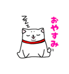 もちしばけん（個別スタンプ：3）