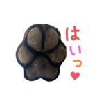 黒ミディプーの豆太くん①（個別スタンプ：14）