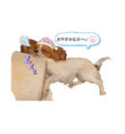 パピヨン ココアの日常言葉ᏊꈍꈊꈍᏊ（個別スタンプ：2）