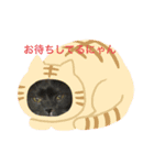 ゴエモン_カットハウスキャッツ（個別スタンプ：3）