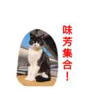 土田樹（個別スタンプ：8）