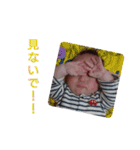 土田樹（個別スタンプ：15）
