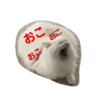あいさつねこきち（個別スタンプ：10）