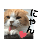 きなこもちさん。2（個別スタンプ：6）