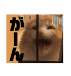 きなこもちさん。2（個別スタンプ：8）