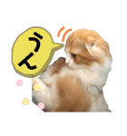 きなこもちさん。2（個別スタンプ：11）