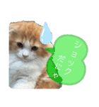 きなこもちさん。2（個別スタンプ：12）