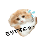 きなこもちさん。2（個別スタンプ：15）