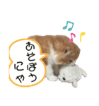 きなこもちさん。2（個別スタンプ：21）