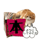 きなこもちさん。2（個別スタンプ：25）