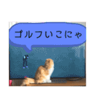 きなこもちさん。2（個別スタンプ：30）