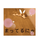 きなこもちさん。2（個別スタンプ：35）