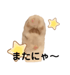 きなこもちさん。2（個別スタンプ：40）