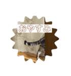 uriuribo（個別スタンプ：5）