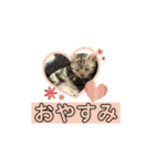 uriuribo（個別スタンプ：6）