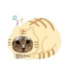 uriuribo（個別スタンプ：7）