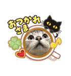 uriuribo（個別スタンプ：12）