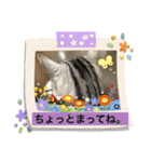 uriuribo（個別スタンプ：14）