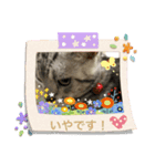 uriuribo（個別スタンプ：15）