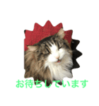 イエモン（個別スタンプ：1）