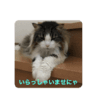 イエモン（個別スタンプ：2）