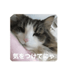 イエモン（個別スタンプ：4）
